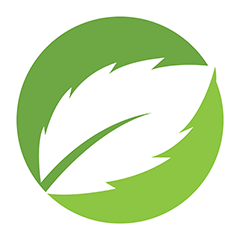 Приём чаги в Кирове